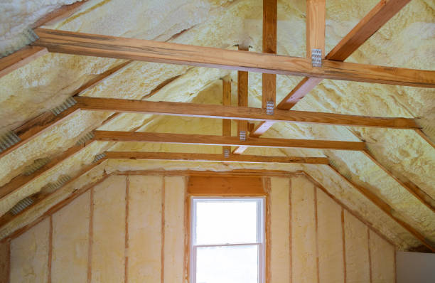 Best Spray Foam Insulation in Los Ranchos De Albuquerque, NM