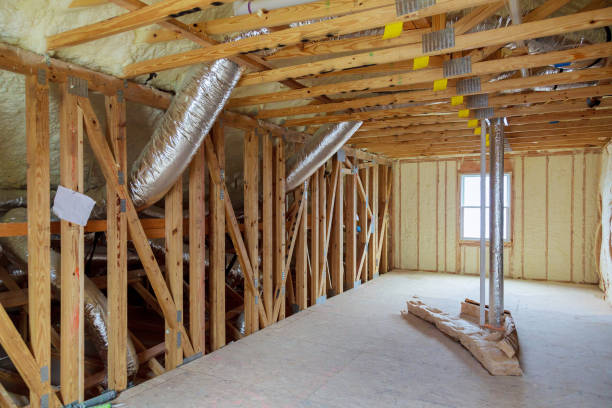 Best Eco-Friendly Insulation in Los Ranchos De Albuquerque, NM