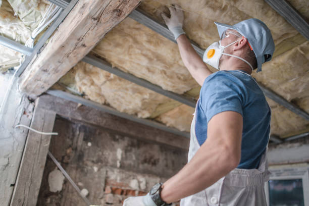 Best Insulation for Specific Applications in Los Ranchos De Albuquerque, NM