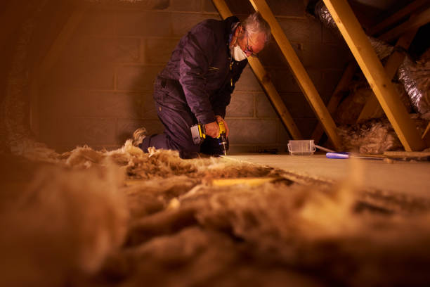 Types of Insulation We Offer in Los Ranchos De Albuquerque, NM
