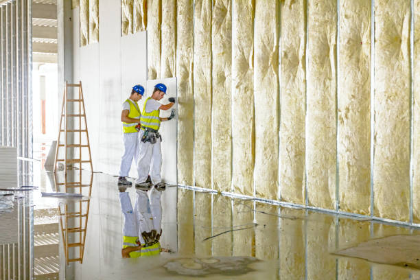Best Residential Insulation in Los Ranchos De Albuquerque, NM